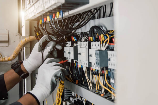 Best Local Electrician Companies  in Demopolis, AL